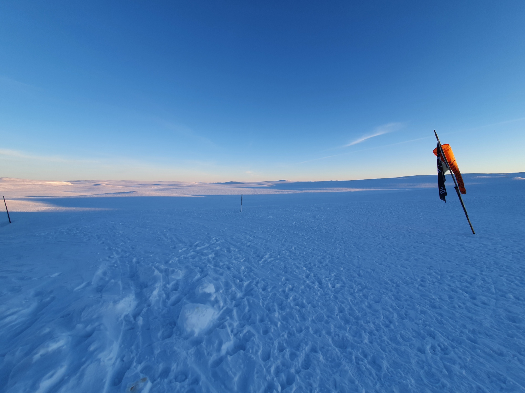 Milestone “Writer’s Block” Check!